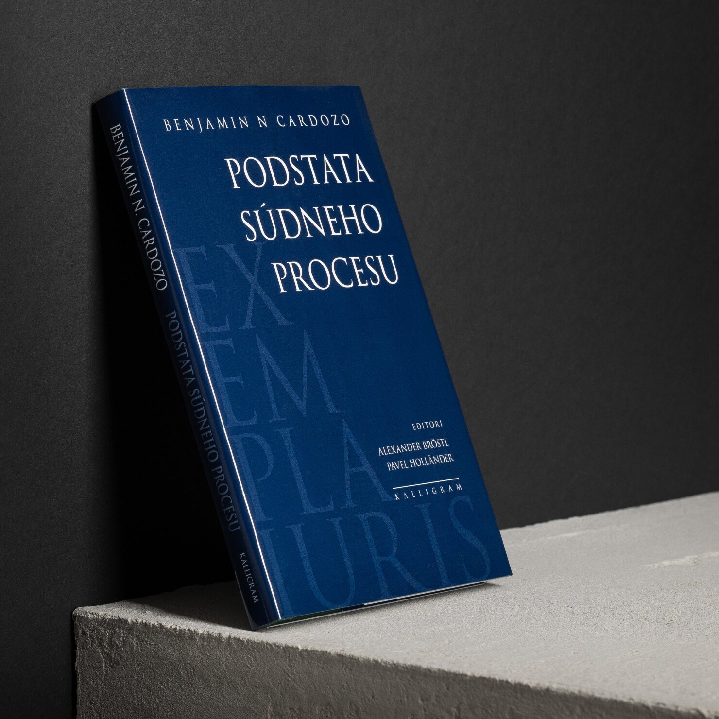 Podstata súdneho procesu